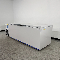 Fisherbrand Isotemp I920CD Freezer Chest image 1